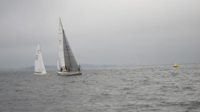 IMG_3371.jpg
