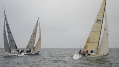 IMG_3384.jpg