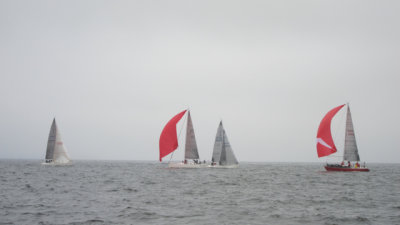 IMG_3396.jpg