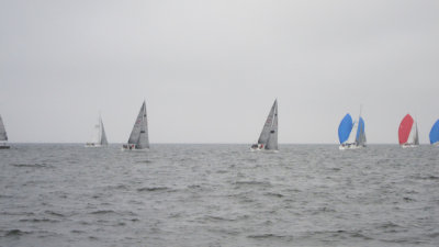 IMG_3398.jpg