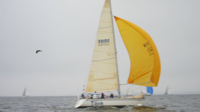 IMG_3412.jpg