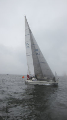 IMG_3449.jpg