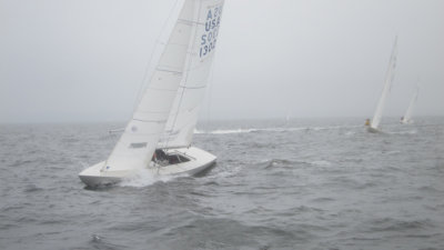 IMG_3466.jpg