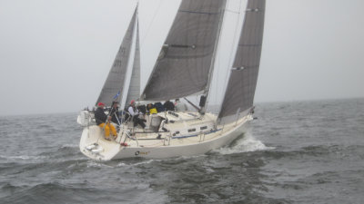 IMG_3470.jpg