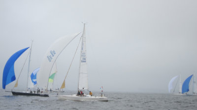 IMG_3495.jpg