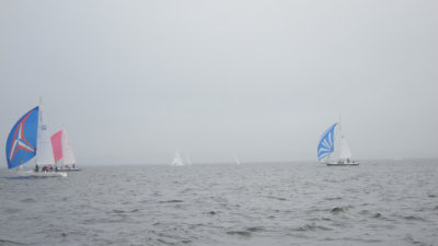 IMG_3496.jpg