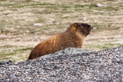 IMG_3956.jpg
