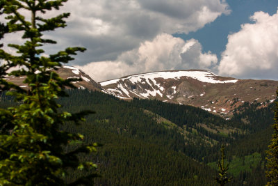 IMG_4106.jpg