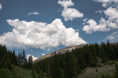 IMG_4199.jpg