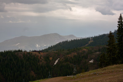IMG_4317.jpg