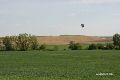 Hot Air Balloon Chase
