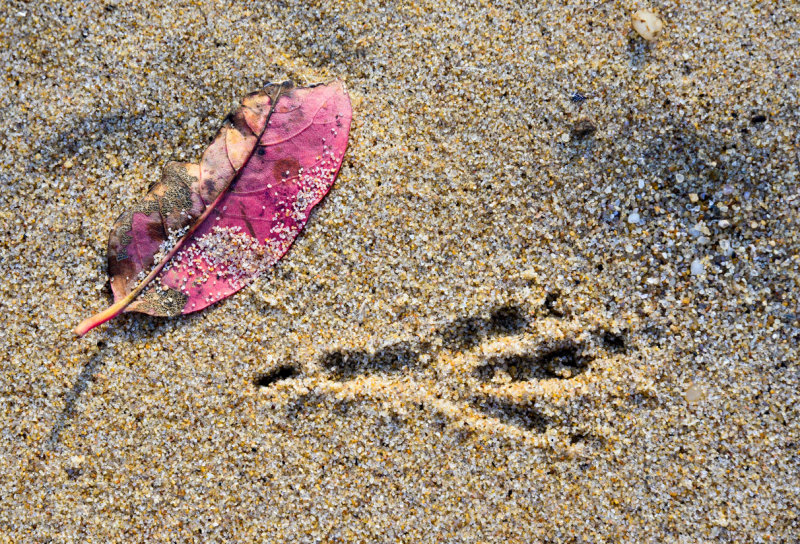 Camping 2013-114.jpg