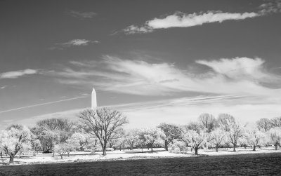 Potomac Park