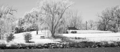 Potomac Bank