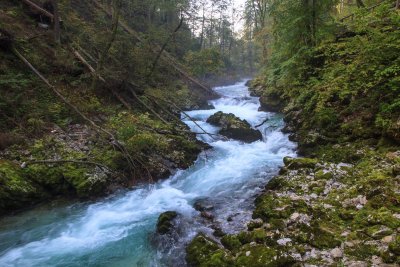 Vintgar Gorge, Slovenia