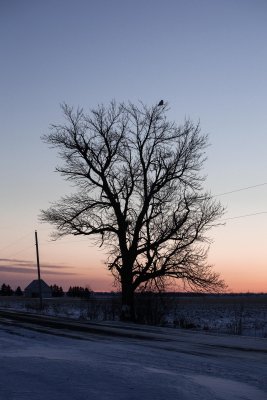 Snowy landscape 2