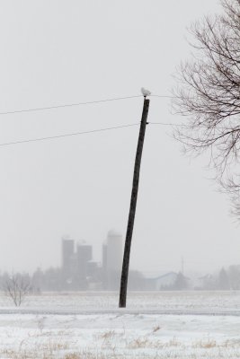 Snowy landscape 3