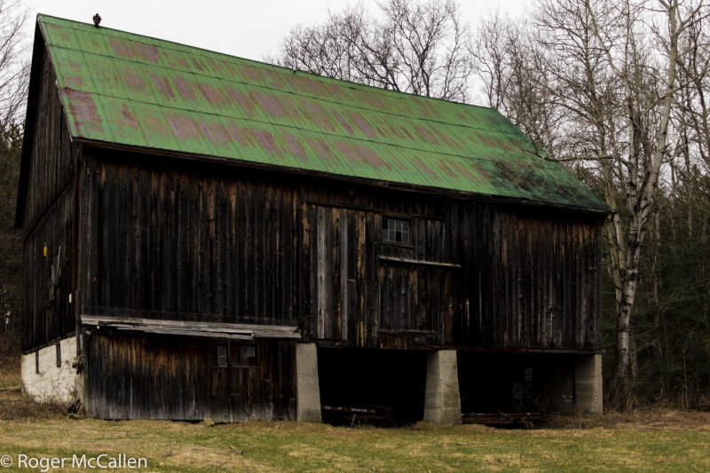 Green Roof