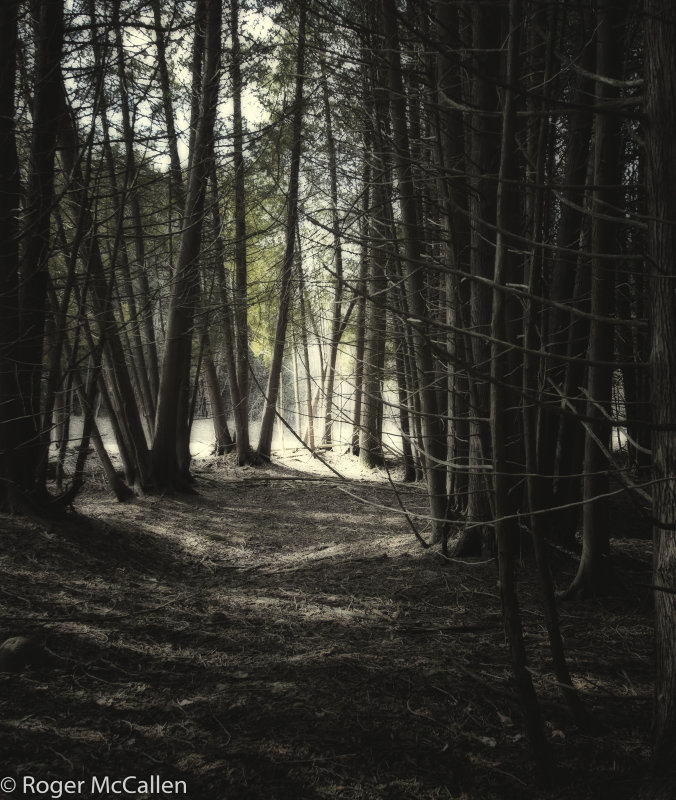The Pathway