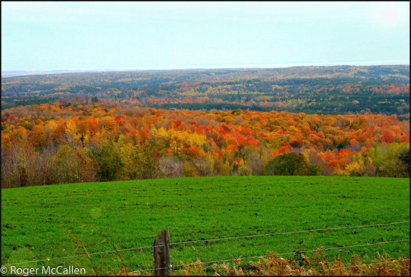 Creemore Fall Colors