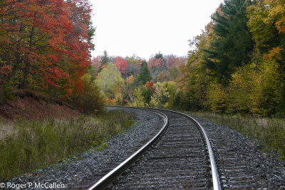 Train Tracks in Fall
