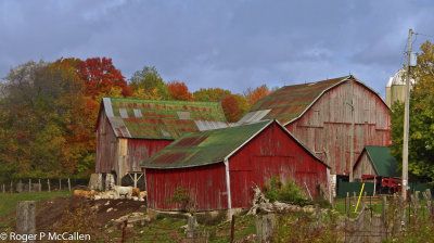 Red Barns