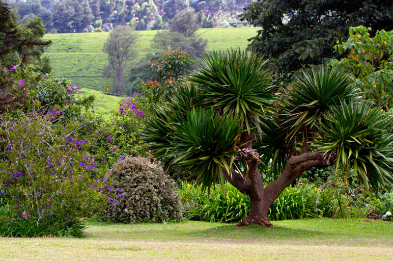 Garden at Kiambethu Farm