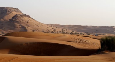 desert 1.jpg