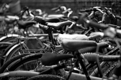 trinity college bikes.jpg