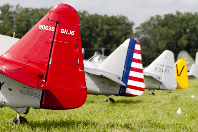T-6 Tails