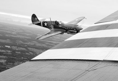 p40 e on the wing 