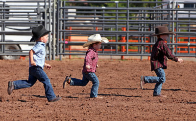 cottonwood family rodeo 2016