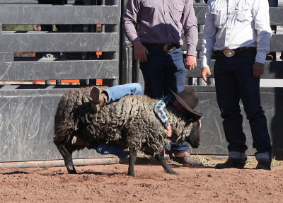 cottonwood family rodeo 2016