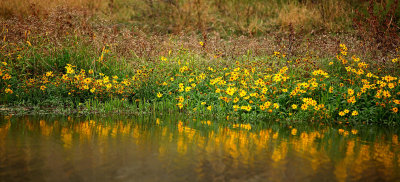 Verde River