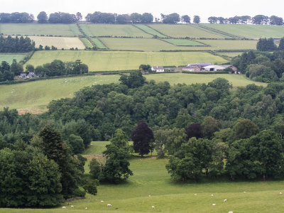 Hill side near Dalmunzie castle