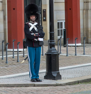 Palace Guard