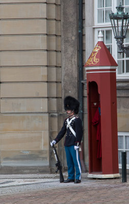 Palace Guard