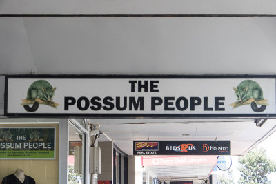 Lots of possum wool available