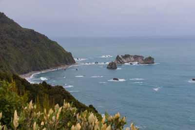 Along the coast