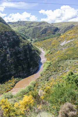 Taieri Gorge