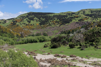 Taieri Gorge