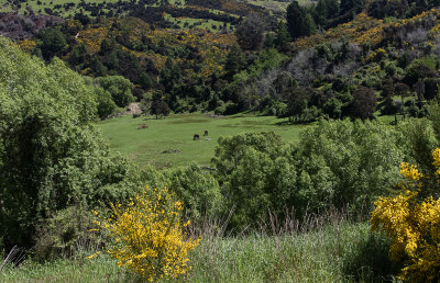 Taieri Gorge