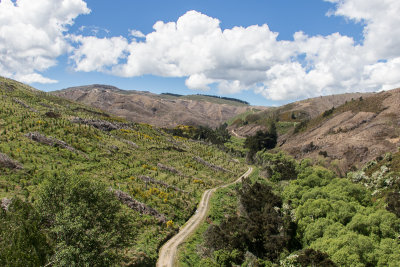 Taieri Gorge