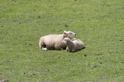 Queenstown to Dunedin