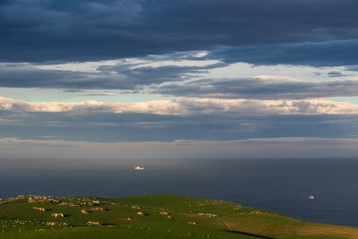 Dunedin Peninsula Tour