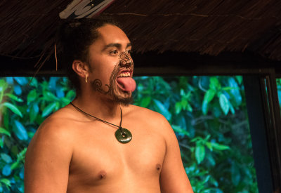 Maori Evening