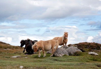 IMG_8706-South-Uist.jpg