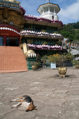 _MG_8716-Dambulla.jpg
