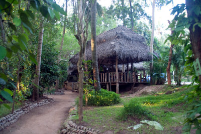 Polonnaruwa to Spice Lodge