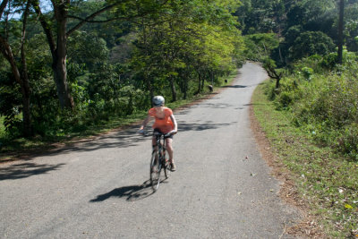 _MG_9244-Kandy-to-Nuwara-Eliya.jpg